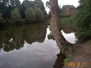 Teich