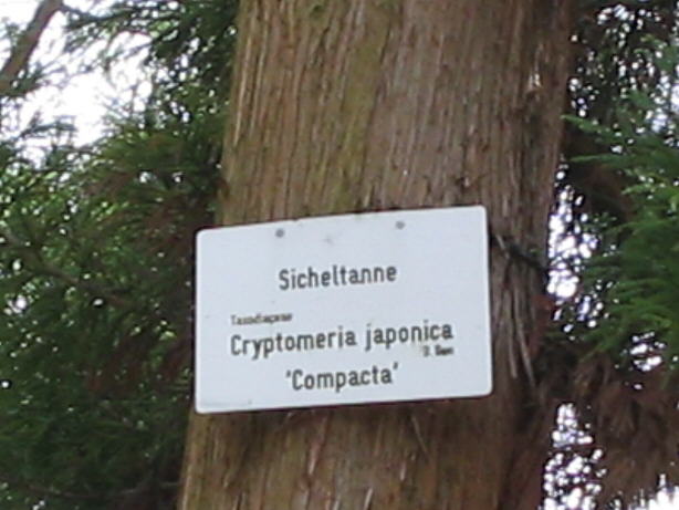 VT05014A.JPG (45333 Byte)