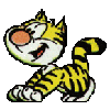 kater.gif (28418 Byte)