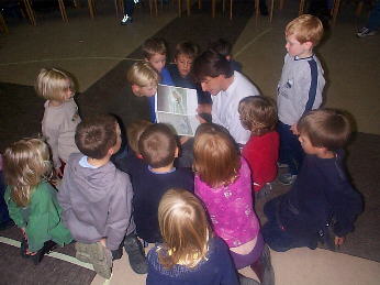 Die Gutenachtgeschichte
